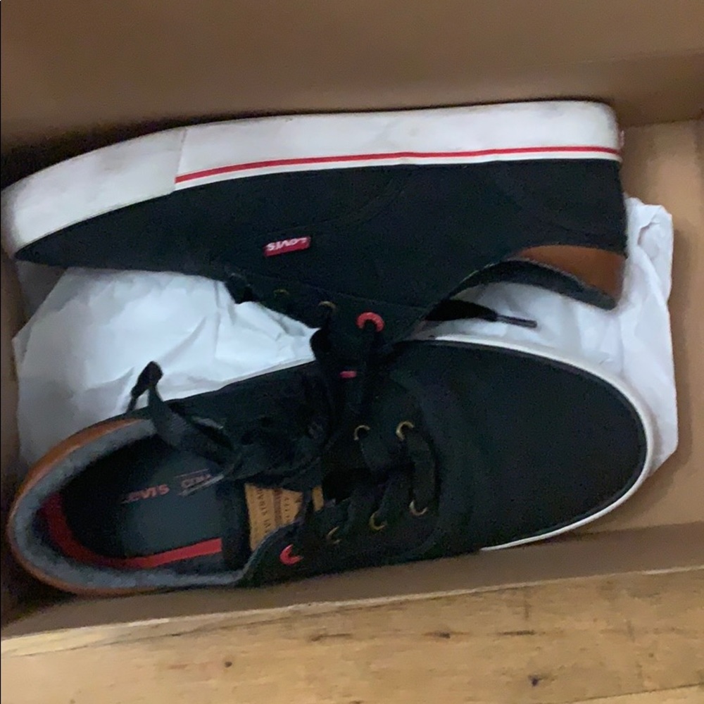 Levi Ethan Canvas 2